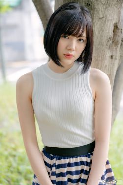 台湾动画动漫
